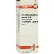 DHU-Arzneimittel BERBERIS D 12 DIL., 20 ml