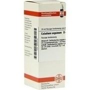 DHU-Arzneimittel CALADIUM SEGUINUM D 4 DIL., 20 ml