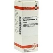 DHU-Arzneimittel EQUISETUM ARVENSE URTINKTUR DILUTION