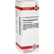 DHU-Arzneimittel FUCUS VESICULOSUS D 6 DIL., 20 ml