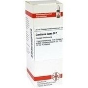 DHU-Arzneimittel GENTIANA LUTEA D 2 DIL. 20 ML DILUTION