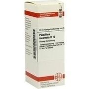 DHU-Arzneimittel PASSIFLORA INCARNATA D 12 DIL., 20 ml