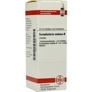 DHU-Arzneimittel SCROPHULARIA NODOSA URTINKTUR, 20 ml