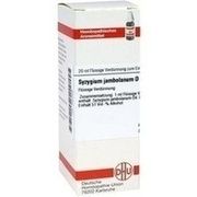 DHU-Arzneimittel SYZYGIUM JAMBOLANUM D 6 DIL., 20 ml