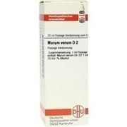 DHU-Arzneimittel MARUM VERUM D 2 DIL., 20 ml