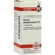 DHU-Arzneimittel KALIUM PHOSPHORICUM D 12 GLOBULI, 10 g