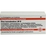 DHU-Arzneimittel LM RHUS TOX. VI GLOBULI, 5 g