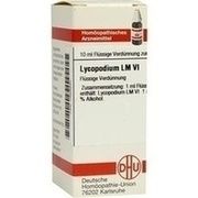 DHU-Arzneimittel LM LYCOPODIUM VI 10 ML DILUTION