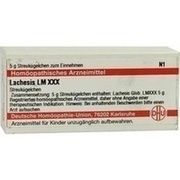 DHU-Arzneimittel LM LACHESIS XXX GLOBULI, 5 g
