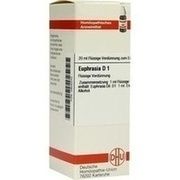 DHU-Arzneimittel EUPHRASIA D 1 DIL., 20 ml