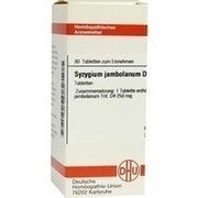 DHU-Arzneimittel SYZYGIUM JAMB D 4 DHU TAB, 80 St.