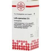 DHU-Arzneimittel LUFFA OBERCULATA D6 DHU, 10G GLOBULI