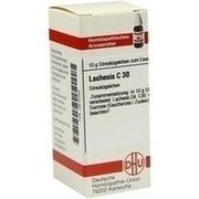 DHU-Arzneimittel LACHESIS C 30 GLOBULI, 10 g