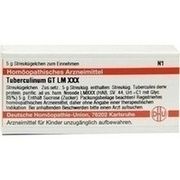 DHU-Arzneimittel LM TUBERCULINUM GT XXX GLOBULI, 5 g