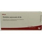 Wala GLANDULAE SUPRAREN. GL D 6 AMP., 10 x 1 ml