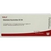 Wala GLANDULA THYREOIDEA GL D 4 AMP., 10 x 1 ml