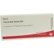 Wala VISCUM MALI SENKER D30 AMP, 10 x 1 ml
