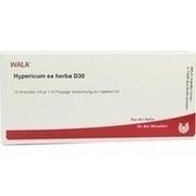 Wala HYPERICUM EX HERBA D 30 AMP., 10 x 1 ml