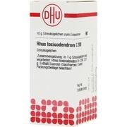 DHU-Arzneimittel RHUS TOXICODENDRON C 200 GLOBULI, 10 g