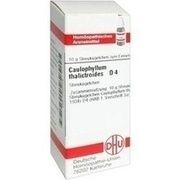 DHU-Arzneimittel CAULOPHYLLUM THALICTROIDES D 4 GLOBULI, 10 g