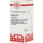 DHU-Arzneimittel LEDUM C 30 GLOBULI, 10 g