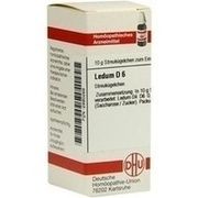 DHU-Arzneimittel LEDUM D 6 GLOBULI, 10 g