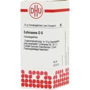 DHU-Arzneimittel ECHINACEA HAB D 6 GLOBULI, 10 g