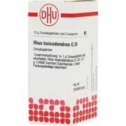 DHU-Arzneimittel RHUS TOXICODENDRON C 30 GLOBULI, 10 g