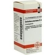 DHU-Arzneimittel DOLICHOS PRURIENS D 4 GLOBULI, 10 g