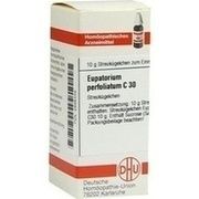 DHU-Arzneimittel EUPATORIUM PERFOLIATUM C 30 GLOBULI, 10 g