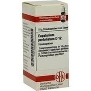 DHU-Arzneimittel EUPATORIUM PERFOLIATUM D 12 GLOBULI, 10 g