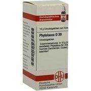 DHU-Arzneimittel PHYTOLACCA D 30 GLOBULI, 10 g