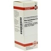 DHU-Arzneimittel RHUS TOXICODENDRON C30 DILUTION