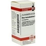DHU-Arzneimittel RHUS TOX. D 200 GLOBULI, 10 g