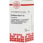 DHU-Arzneimittel SAMBUCUS NIGRA D 12 GLOBULI, 10 g