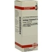 DHU-Arzneimittel SOLIDAGO VIRGAUREA D 12 DIL., 20 ml