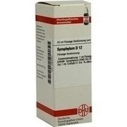DHU-Arzneimittel SYMPHYTUM D 12 DIL., 20 ml DHU-Arzneimittel SYMPHYTUM D 12 DIL., 20 ml