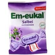 Dr. C. SOLDAN EM EUKAL BONBONS SALBEI ZUCKERFREI 75 G