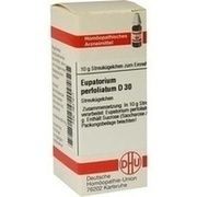 DHU-Arzneimittel EUPATORIUM PERFOLIATUM D 30 GLOBULI, 10 g
