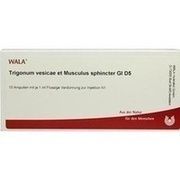Wala TRIGONUM VES.ET MUSC.SPH.GL D 5 AMP., 10 x 1 ml