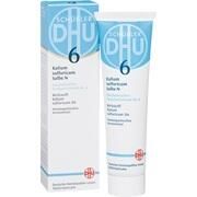 DHU-Arzneimittel BIOCHEMIE 6 KALIUM SULFURICUM N D 4 SALBE