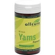 Allcura YAMS KAPSELN 250 MG YAMSPULVER, 60 St.