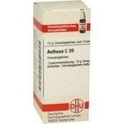 DHU-Arzneimittel AETHUSA C 30 GLOBULI, 10 g
