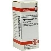DHU-Arzneimittel AGNUS CASTUS C 30 GLOBULI, 10 g
