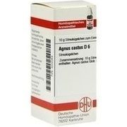 DHU-Arzneimittel AGNUS CASTUS D 6 GLOBULI, 10 g