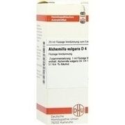 DHU-Arzneimittel ALCHEMILLA VULG. D 4 DIL., 20 ml