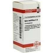 DHU-Arzneimittel APIS MELLIFICA C 6 GLOBULI, 10 g