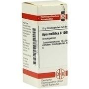 DHU-Arzneimittel APIS MELLIFICA C 1000 GLOBULI, 10 g