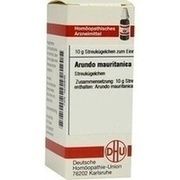 DHU-Arzneimittel ARUNDO MAURITANICA C 6 GLOBULI, 10 g
