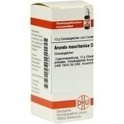 DHU-Arzneimittel ARUNDO MAURITAN. D 6 GLOBULI, 10 g